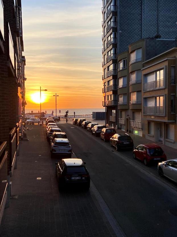 Sympa 6p Avec Garage Et Terrasse Ensoleillee Et Spacieuse A 25m De La Westende Apartamento Middelkerke
